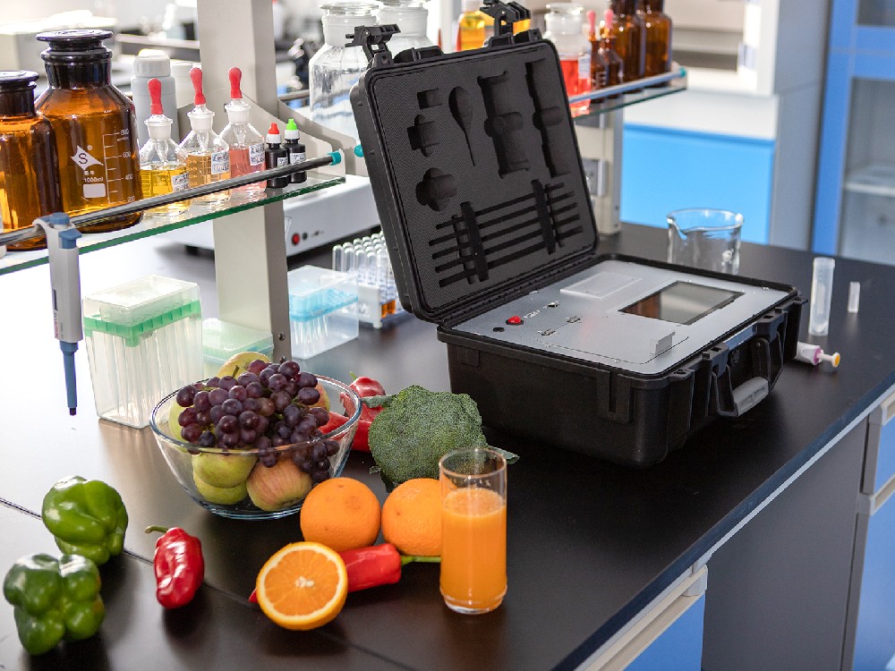 學(xué)生食堂用蔬菜農(nóng)藥殘留檢測(cè)儀器設(shè)備廠家推薦